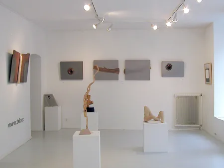 exhibition view, Johann KnoTEK