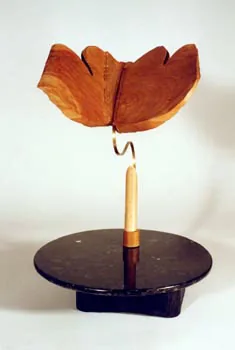 Butterfly or Aprés Ski