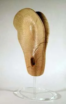 Fontana