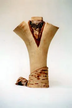Torso